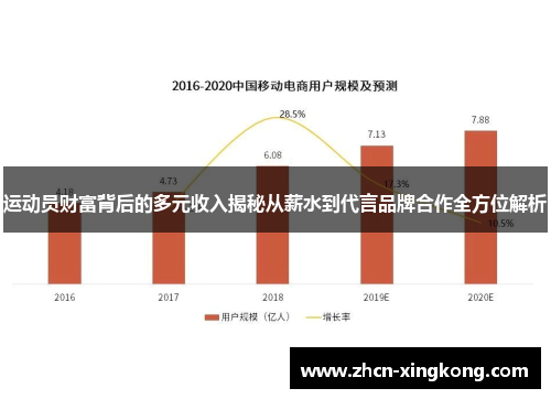 运动员财富背后的多元收入揭秘从薪水到代言品牌合作全方位解析
